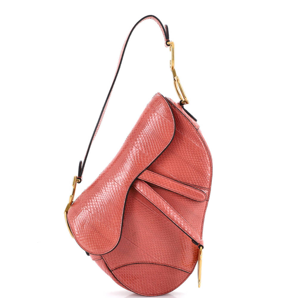 Christian Dior Medium Saddle Handbag Python